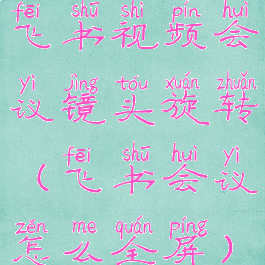 飞书视频会议镜头旋转(飞书会议怎么全屏)