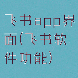 飞书app界面(飞书软件功能)