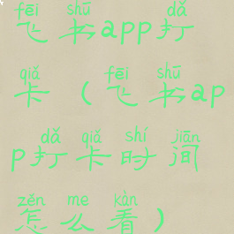 飞书app打卡(飞书app打卡时间怎么看)