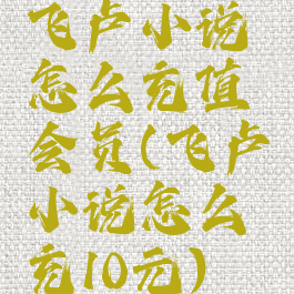 飞卢小说怎么充值会员(飞卢小说怎么充10元)