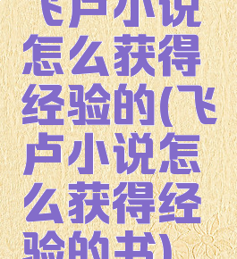 飞卢小说怎么获得经验的(飞卢小说怎么获得经验的书)