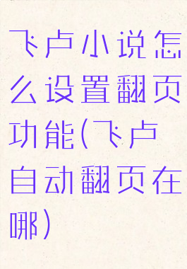 飞卢小说怎么设置翻页功能(飞卢自动翻页在哪)