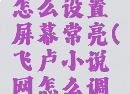 飞卢小说怎么设置屏幕常亮(飞卢小说网怎么调夜间模式)