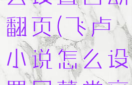 飞卢小说怎么设置自动翻页(飞卢小说怎么设置屏幕常亮)