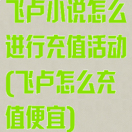 飞卢小说怎么进行充值活动(飞卢怎么充值便宜)