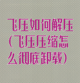 飞压如何解压(飞压压缩怎么彻底卸载)