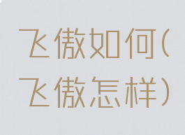 飞傲如何(飞傲怎样)