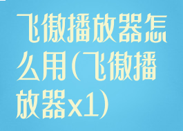 飞傲播放器怎么用(飞傲播放器x1)