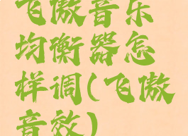 飞傲音乐均衡器怎样调(飞傲音效)