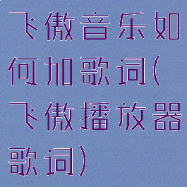 飞傲音乐如何加歌词(飞傲播放器歌词)