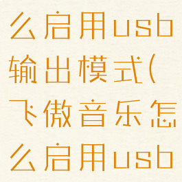飞傲音乐怎么启用usb输出模式(飞傲音乐怎么启用usb输出模式)