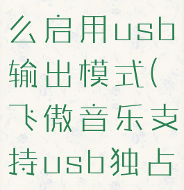 飞傲音乐怎么启用usb输出模式(飞傲音乐支持usb独占吗)