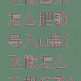 飞傲音乐怎么把歌导入u盘(飞傲怎么手机传歌)