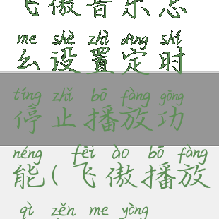 飞傲音乐怎么设置定时停止播放功能(飞傲播放器怎么用)