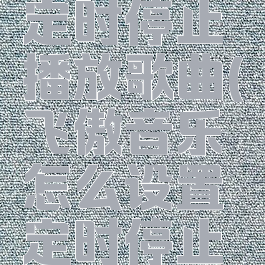 飞傲音乐怎么设置定时停止播放歌曲(飞傲音乐怎么设置定时停止播放歌曲视频)