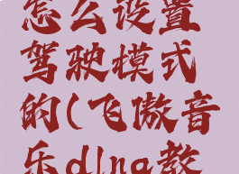 飞傲音乐怎么设置驾驶模式的(飞傲音乐dlna教程)
