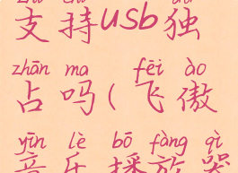 飞傲音乐支持usb独占吗(飞傲音乐播放器怎么样)