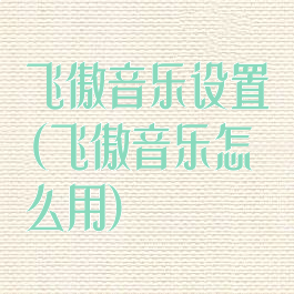 飞傲音乐设置(飞傲音乐怎么用)