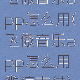 飞傲音乐app怎么用(飞傲音乐app怎么用微信支付)