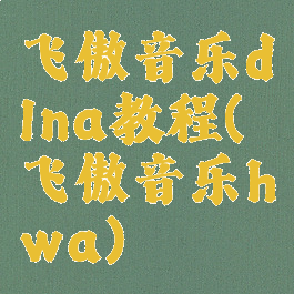 飞傲音乐dlna教程(飞傲音乐hwa)