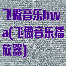 飞傲音乐hwa(飞傲音乐播放器)