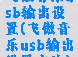 飞傲音乐usb输出设置(飞傲音乐usb输出设置方法)