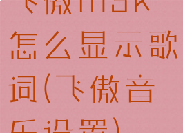 飞傲m3k怎么显示歌词(飞傲音乐设置)
