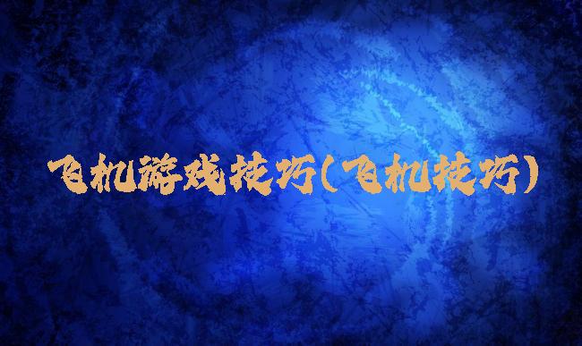 飞机游戏技巧(飞机技巧)