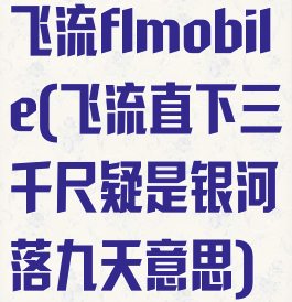 飞流flmobile(飞流直下三千尺疑是银河落九天意思)