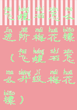 飞蝗石怎么进阶梅花镖(飞蝗石怎么升级梅花镖)