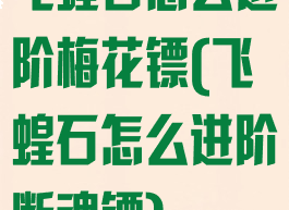 飞蝗石怎么进阶梅花镖(飞蝗石怎么进阶断魂镖)