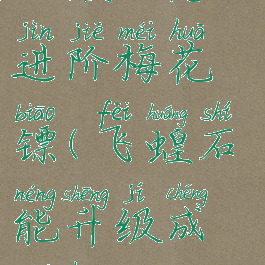 飞蝗石怎么进阶梅花镖(飞蝗石能升级成梅花镖吗)