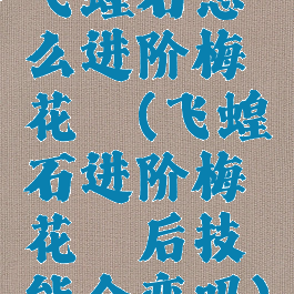 飞蝗石怎么进阶梅花镖(飞蝗石进阶梅花镖后技能会变吗)