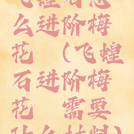 飞蝗石怎么进阶梅花镖(飞蝗石进阶梅花镖需要什么材料)