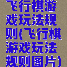 飞行棋游戏玩法规则(飞行棋游戏玩法规则图片)