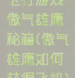 飞行游戏傲气雄鹰秘籍(傲气雄鹰如何获得飞机)