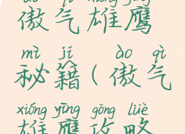 飞行游戏傲气雄鹰秘籍(傲气雄鹰攻略秘籍)