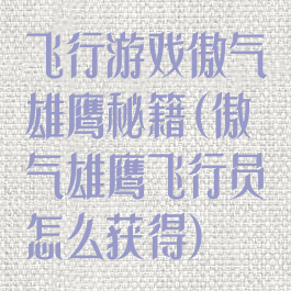 飞行游戏傲气雄鹰秘籍(傲气雄鹰飞行员怎么获得)