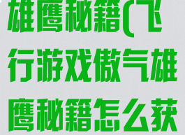 飞行游戏傲气雄鹰秘籍(飞行游戏傲气雄鹰秘籍怎么获得)