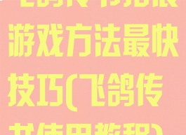 飞鸽传书拓展游戏方法最快技巧(飞鸽传书使用教程)