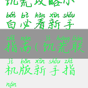 饥荒攻略小白必看新手指南(饥荒联机版新手指南)