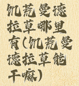 饥荒曼德拉草哪里有(饥荒曼德拉草能干嘛)