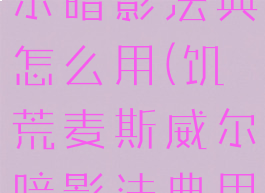 饥荒麦斯威尔暗影法典怎么用(饥荒麦斯威尔暗影法典用不了)