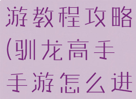驯龙高手手游教程攻略(驯龙高手手游怎么进去)