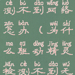 驱动精灵监测不到网络怎办(为什么驱动精灵检测不到无线网卡)