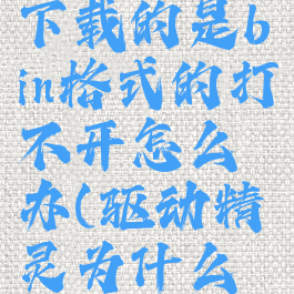 驱动精灵下载的是bin格式的打不开怎么办(驱动精灵为什么下载失败)
