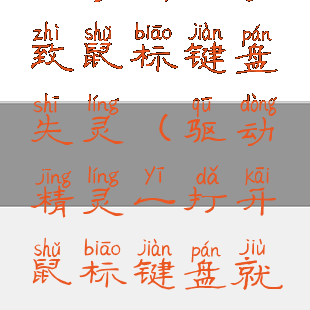 驱动精灵导致鼠标键盘失灵(驱动精灵一打开鼠标键盘就不能用了)