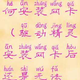 驱动精灵如何安装网卡(驱动精灵安装网卡后还是无法联网)