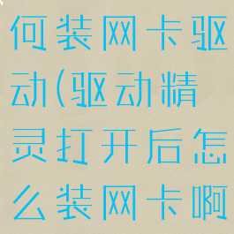 驱动精灵如何装网卡驱动(驱动精灵打开后怎么装网卡啊)