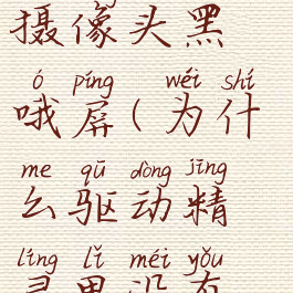 驱动精灵怎么修复摄像头黑哦屏(为什么驱动精灵里没有摄像机驱动)